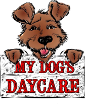 My Dogs Daycare